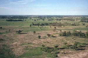Luftaufnahme von NG22 (Kwedi Reserve), Botsuana. / Aerial view of NG22 (Kwedi Reserve), Botswana. / (c) Walter Mitch Podszuck (Bwana Mitch) - #000102-6