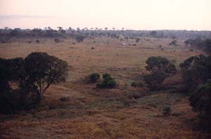 Bodenteam am Startplatz in der Steppe. Luftaufnahme aus Heißluftballon "Twiga", Ol Chorro Orogwa Group Ranch (Masai Mara), Kenia. / Ground team at the launch site in the savannah. Aerial view from hot-air balloon "Twiga", Ol Chorro Orogwa Group Ranch (Masai Mara), Kenya. / (c) Walter Mitch Podszuck (Bwana Mitch) - #980904-011