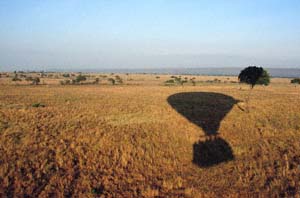 Schatten des Heißluftballons auf der Steppe. Luftaufnahme aus Heißluftballon "Twiga", Lemek Group Ranch (Masai Mara), Kenia. / Shadow of the hot-air balloon on the savannah. Aerial view from hot-air balloon "Twiga", Lemek Group Ranch (Masai Mara), Kenya. / (c) Walter Mitch Podszuck (Bwana Mitch) - #980904-056