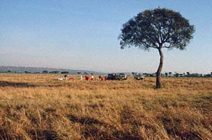 Landeplatz des Heißluftballons "Twiga" in der Steppe. Lemek Group Ranch (Masai Mara), Kenia. / Landing site of hot-air balloon "Twiga" in the savannah. Lemek Group Ranch (Masai Mara), Kenya. / (c) Walter Mitch Podszuck (Bwana Mitch) - #980904-069