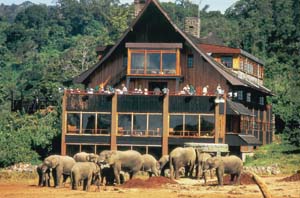 Elefantenherde vor The Ark. Aberdare National Park, Kenia. / Herd of elephants in front of The Ark. Aberdare National Park, Kenya. / (c) Lonrho Hotels Kenya