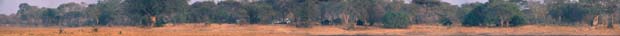 Blick von der Katisunga-Ebene auf das Flycatcher Camp Katavi. Katavi National Park, Tansania. / View from Katisunga Plains on Flycatcher Camp Katavi. Katavi National Park, Tanzania. / (c) Walter Mitch Podszuck (Bwana Mitch) - #010906-45-56